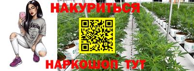 стафф Пушкино