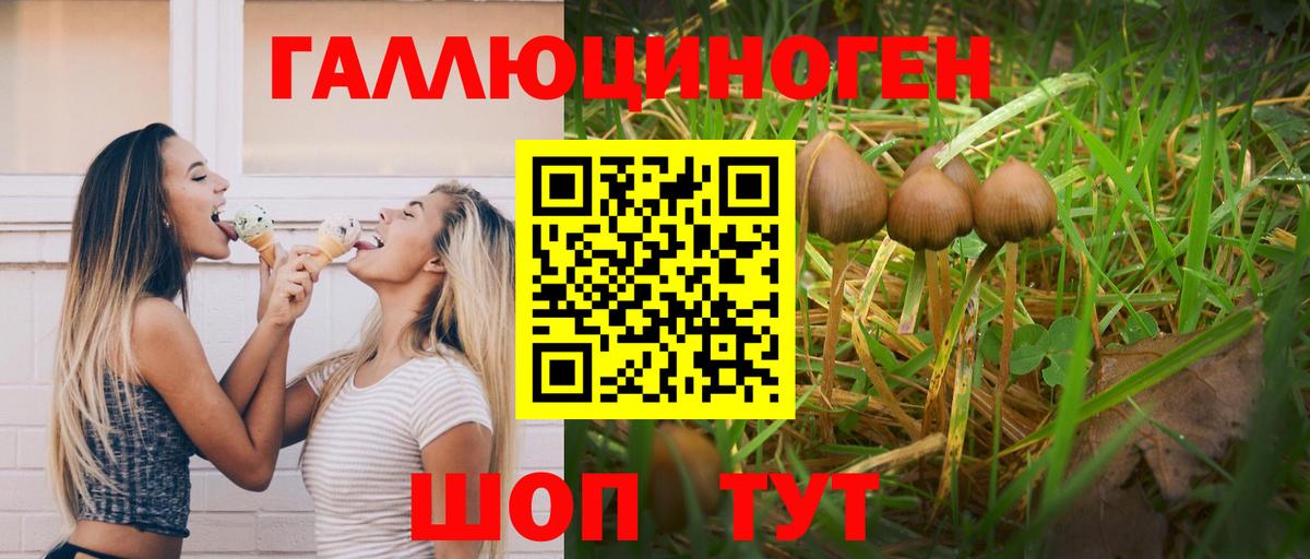 Сочи  Псилоцибиновые грибы мицелий  Вход с VPN  Псилоцибиновые грибы Psilocybe 